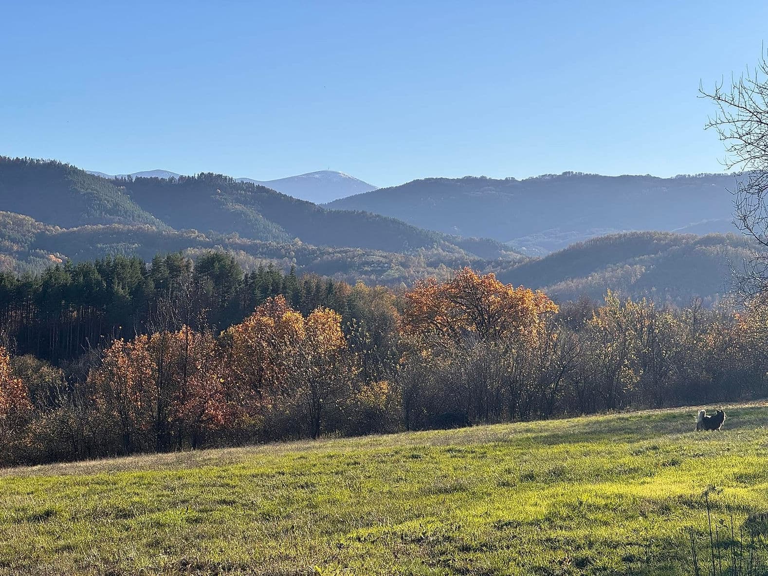 Глемпинг Столът